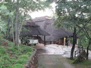 bushbaby-lodge bushbaby-lodge